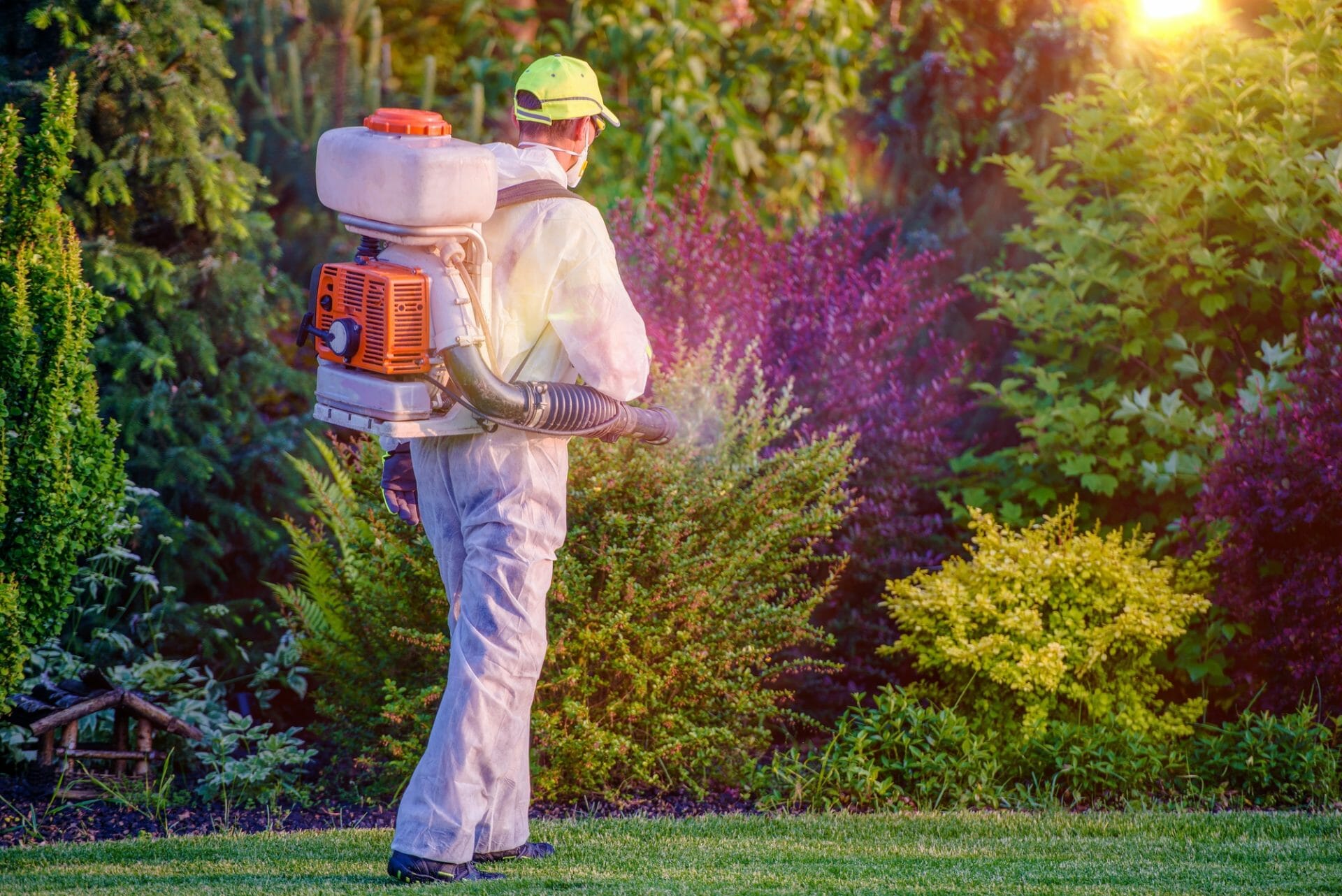 Man Spraying for pest control